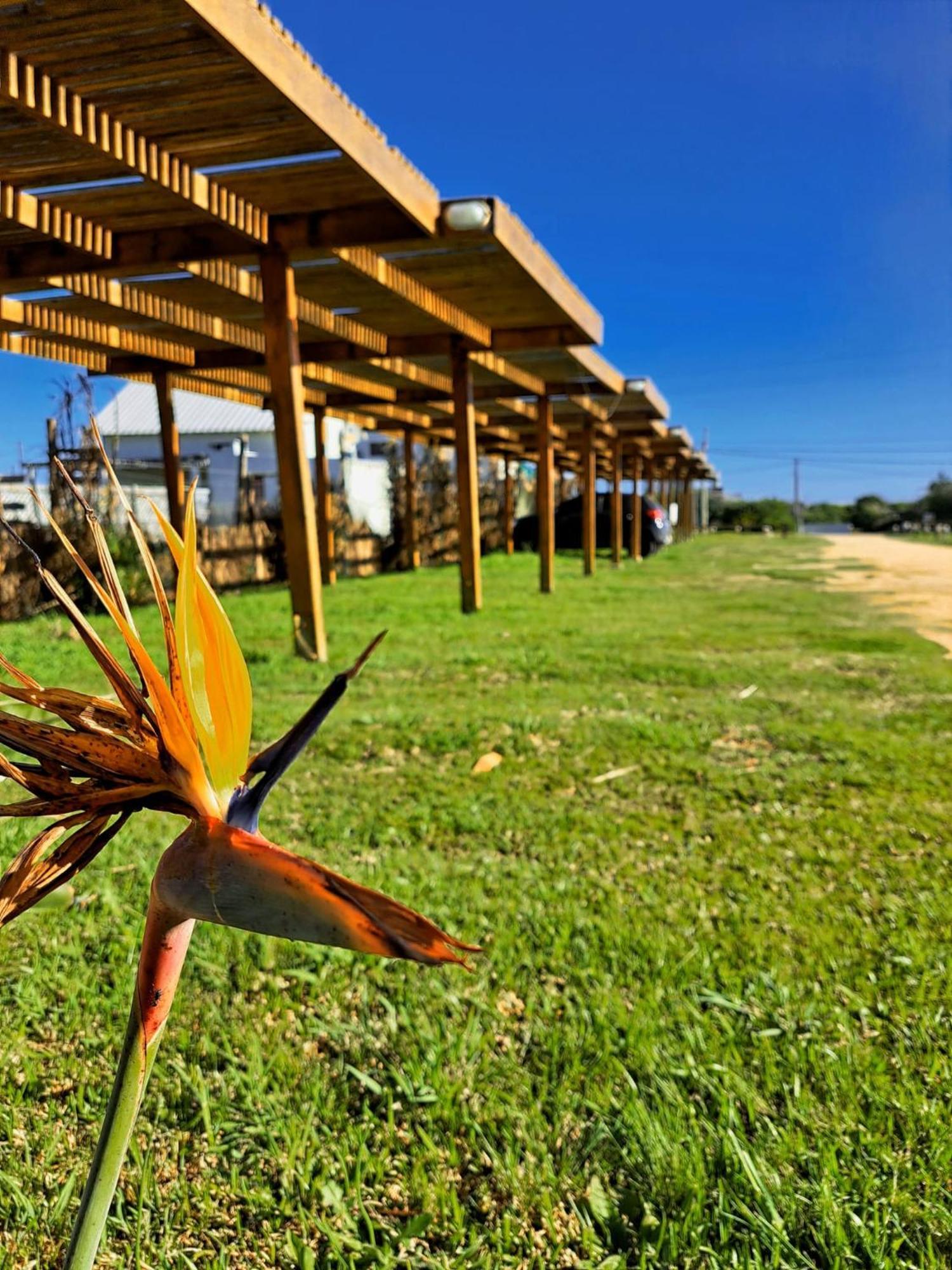 Zen Boutique Apart Hotel La Paloma Exterior foto